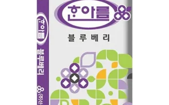 유튜버추천 베스트8 블루베리흙 정리