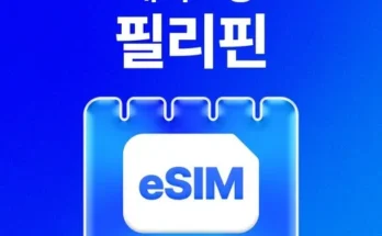 선물하기좋은 TOP8 필리핀esim 추천정리