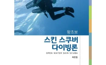 선물하기좋은 베스트 8 세부스쿠버다이빙자격증 분석