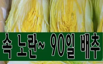 선물하기좋은 TOP8 괴산절임배추20kg김장절인배추 분석