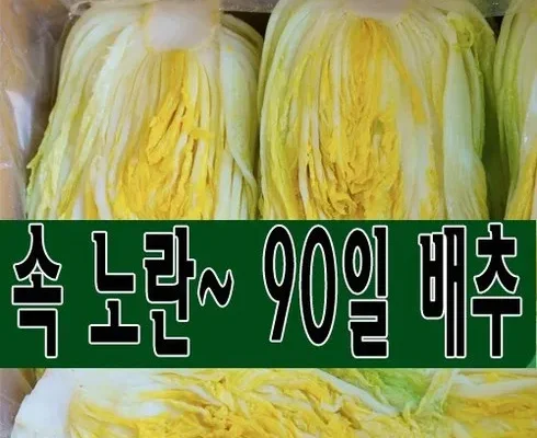 선물하기좋은 TOP8 괴산절임배추20kg김장절인배추 분석