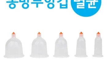 핫딜순위 일회용부항컵 분석